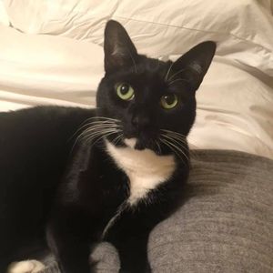 Meet your Posher, Michelle j.